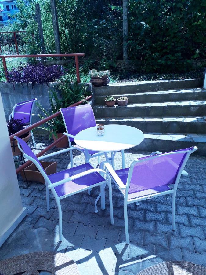 Blue Studio Olympus Mels Apartments Литохоро Экстерьер фото