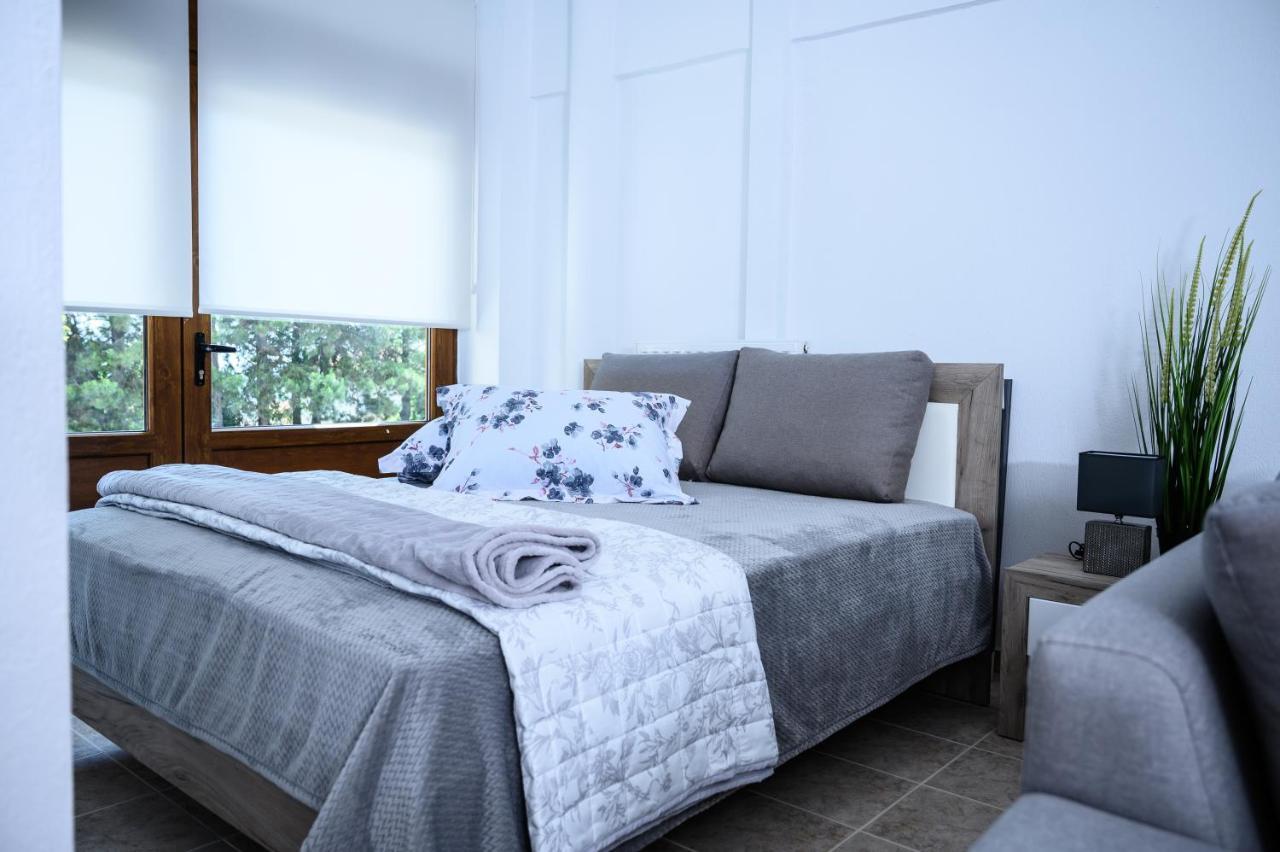 Blue Studio Olympus Mels Apartments Литохоро Экстерьер фото